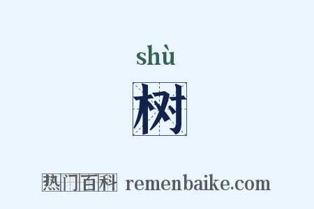 树是什么意思的图片